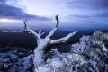 Snow on Bluff Knoll last month.