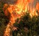 A crew with Cal Fire battles a brushfire on the hillside in Burbank, California, on Saturday. 