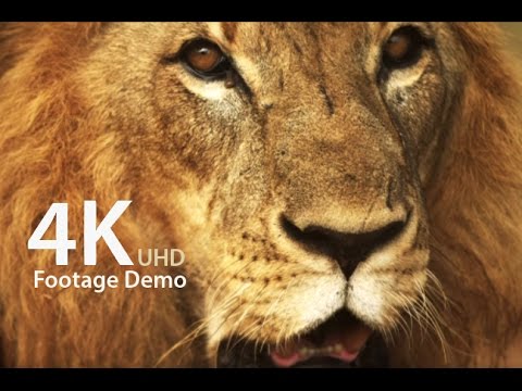 4K ULTRA HD TEST, short movie demo