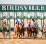 The 135th Birdsville race meeting was deemed a resounding success.