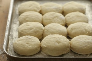 Scone dough ready for baking.