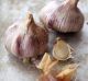 Garlic breath occurs when two populations collide: garlic eaters and non-garlic eaters.