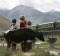 A Train from Lhasa Railway Station travels on the Tibetan grasslands near Lhasa, Tibet.