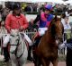 Jockey Craig Williams after Vega Magic won Race 7, the New Zealand Bloodstock Memsie Stakes,  at Caulfield Racecourse on ...