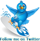 twitter-surf-icon