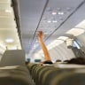 Minimise the risk of getting sick on a plane