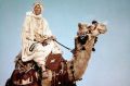 Peter O'Toole in Lawrence of Arabia.