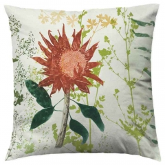 Protea Designer Cushion