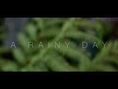 A Rainy Day | Art Film