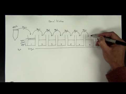 Concentrations Part 5 - serial dilution