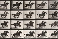 Eadweard Muybridge