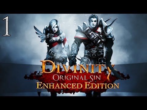 Let's Play ► Divinity: Original Sin Enhanced Edition Co-Op - Part 1 - Cyseal [Blind]