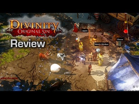 Divinity: Original Sin - Review