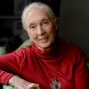 edjanegoodall