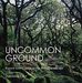 Dominick Tyler: Uncommon Ground: A word-lover's guide to the British landscape