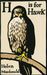 Helen Macdonald: H is for Hawk