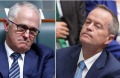 Prime Minister Malcolm Turnbull and Opposition Leader Bill Shorten should agree to audit the citizenship status of all MPs.