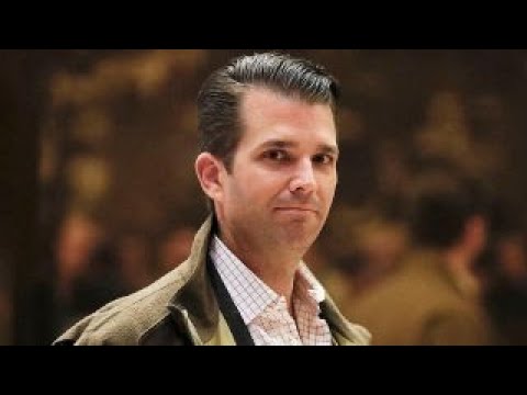 Trump Jr. faces lawmakers over meeting with Russian lawyer