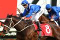 Best by miles: Winx takes out last year's George Main Stakes, one of five Randwick group 1 1600m wins.