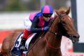 Comfortable margin: Jockey Craig Williams out in front on Vega Magic in the 2017 Memsie Stakes at Caulfield Racecourse.