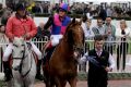 Jockey Craig Williams after Vega Magic won Race 7, the New Zealand Bloodstock Memsie Stakes,  at Caulfield Racecourse on ...