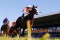 Just the beginning: Josh Parr rides Menari to win the Rosebud at Rosehill.