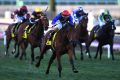 Damian Lane charges home on Bonneval to win the Dato' Tan Chin Nam Stakes at Moonee Valley on  Saturday, September 9, 2017.