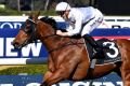 Deploy, who won the Theo Marks Stakes with Joshua Parr aboard at Rosehill on Saturday,  may prove to be the perfect fit ...