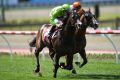 Royal Symphony (left), with Dwayne Dunn in the saddle, gallops at Moonee Valley on Saturday.