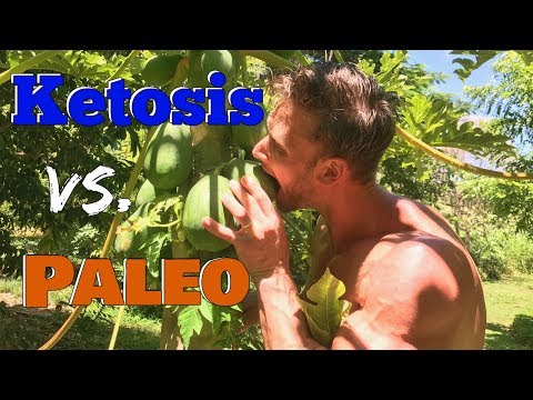 Keto Diet vs. Paleo: Which is Better for You: Thomas DeLauer