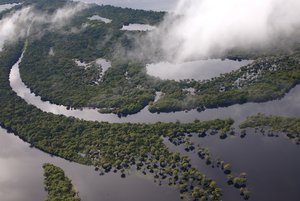 The Amazon rainforest, the richest and most biodiverse rainforest in the world. Larger mammals include pumas, jaguars, ocelots, rare bush dogs, and foxes; peccaries,