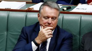 Labor MP Joel Fitzgibbon during Question Time at Parliament House in Canberra.