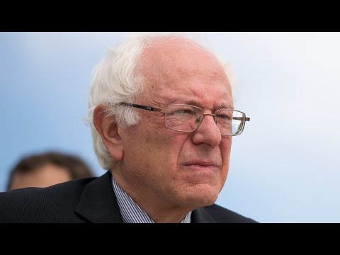 The Daily Beast's Bernie Bashing Bias