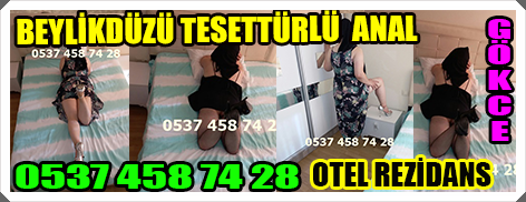 beylikduzu escort