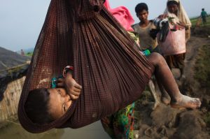 A Rohingya child is carried on a sling while his family walk through rice fields after crossing the border into ...