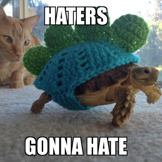 haters-gonna-hate-540x540