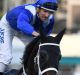 Hugh Bowman riding Winx is poised to win the title of world's best jockey.