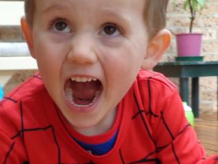 Photo showing missing child William Tyrrell Photo courtesy of NSW Police