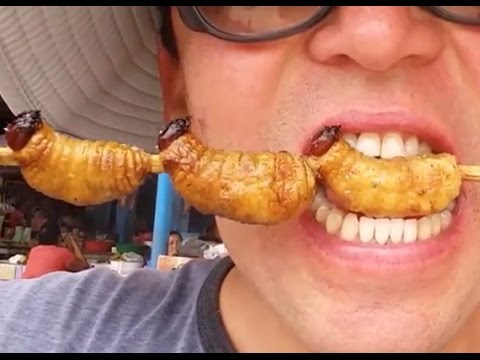 Iquitos Selva Peru. En Nanay comiendo SURI (Gusano Aguaje)