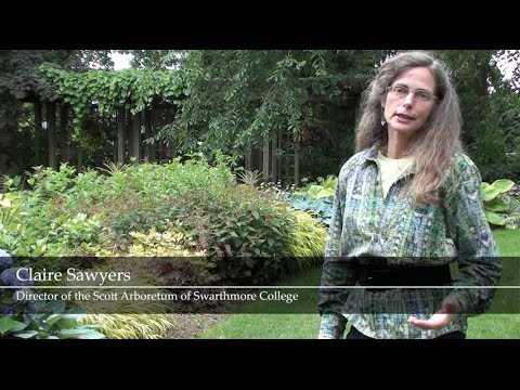 Artful Gardens Part III: Terry Shane Teaching Garden