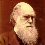 Darwin