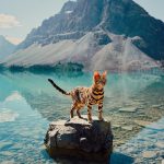 A Gorgeous Green Eyed Bengal Cat Who Enjoys the Great Outdoors With Her Beloved Human