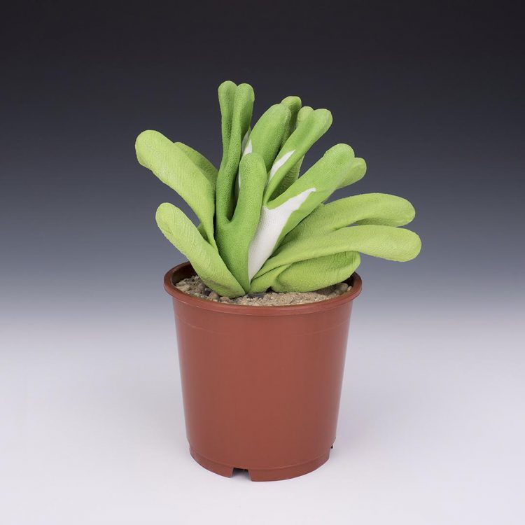 Fruitless, A Quirky Photo Series of Everyday Household Items Posing as Potted Plants