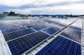 Solar PV plants are rolling out faster than regulators have forecast.