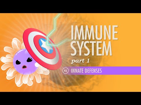 Immune System, part 1: Crash Course A&P #45