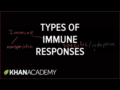 Types of immune responses: Innate and adaptive, humoral vs. cell-mediated | NCLEX-RN | Khan Academy