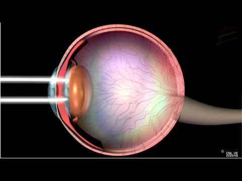 Structure and Working of Human Eye