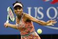 Venus Williams' amazing year continues, having reached the semi-finals of the US Open.