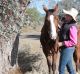 Ange MacAlpine, 29, works remotely in the finance sector from a property in The Marra in outback NSW.