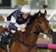 Damien Oliver rides Almandin to victory in the Japan Racing Association Trophy at Flemington.